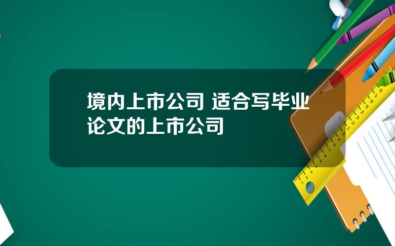 境内上市公司 适合写毕业论文的上市公司